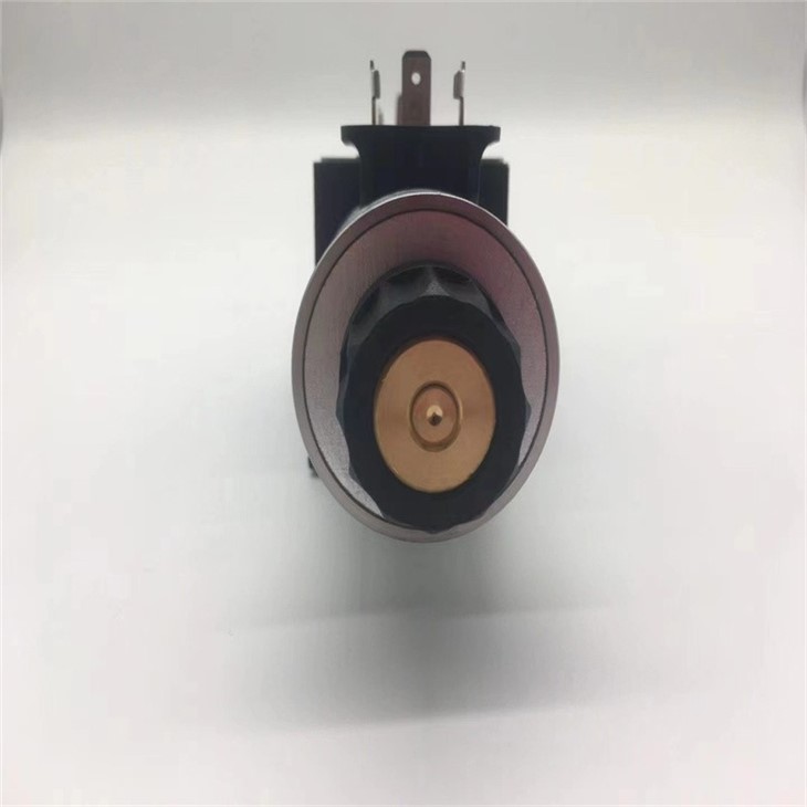 Original Parker Hydraulic Directional Valve D1VW004CNJW D1FVE02BCVLW25 D91FCE01HC2NE70 Parker Valve D1VW D1FVE D1FVE02BCVFOA in Stock